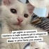 Ücretsiz sahiplenme lütfen okuyun fotoğraf