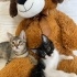 MİNİK MELEKLERİMİZE ÖMÜRLÜK YUVA fotoğraf