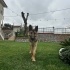 ALMAN ÇOBAN - LUPİ <3 fotoğraf