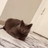 Güzeller güzeli kızımıza yeni mutlu bir yuva arıyoruz fotoğraf