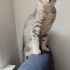 3 aylık minik sokağa dönmesin fotoğraf
