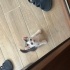 2 aylik oyuncu bebek fotoğraf