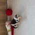 2 aylik oyuncu bebek fotoğraf