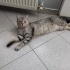 MASUM İÇİN ÖMÜRLÜK YUVA fotoğraf