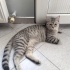 MASUM İÇİN ÖMÜRLÜK YUVA fotoğraf