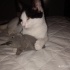 Prensese yuva ariyoruz fotoğraf