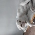 Adı paşa oyuncu bir kedi ve çok miyavlar yaş mama çok sever fotoğraf