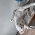 Adı paşa oyuncu bir kedi ve çok miyavlar yaş mama çok sever fotoğraf