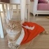 Behlül ailesini arıyor ❤️ fotoğraf