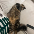 Çok sevecen, insan canlısı 🥹 fotoğraf