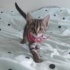 ÇİLEK ÇOK TATLI ❤️