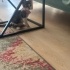 3.5 Aylık Engelli Kızımıza Yuva Arıyoruz fotoğraf