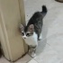 BAL SURATLI BEBEK YUVA ARIYOR fotoğraf