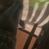 Sakin sessiz bir bebek fotoğraf