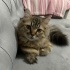 Bademin yeni ailesi olur musunuz? fotoğraf