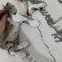 Kardeşlerin sayılı günleri kaldı 🥺 fotoğraf