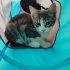 Kardeşlerin sayılı günleri kaldı 🥺 fotoğraf