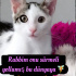 Cennet kokulu 🧚Minör 🧚