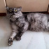 Uysal sakin cana yakın fotoğraf