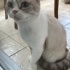 UYSAL SESSİZ SAKİN fotoğraf