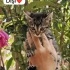 Bebeklere yuva arıyoruz fotoğraf