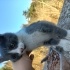 Annesiz bebek acil yuva lutfen fotoğraf