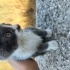 Annesiz bebek acil yuva lutfen fotoğraf