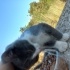Annesiz bebek acil yuva lutfen fotoğraf