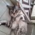 Loki'nin yeni hikâyesi fotoğraf