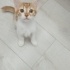 Sevgi dolu çok uslu fotoğraf