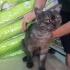 Zeytin oğlumuz yuva arıyor fotoğraf