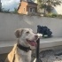 Vega Yuva Arıyor fotoğraf