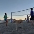 Vega Yuva Arıyor fotoğraf