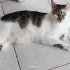 Acillll Konuşkan Çocuk Beyaz 😋 fotoğraf