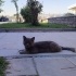 Kaçmış ya da evden atılmış çocuk için yuva fotoğraf