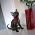 İZMİR 0 BİR ŞANS KEDİSİ TORTOİSESHELL CİNSİ fotoğraf