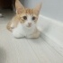 Panky yuva arıyor ona ile olmak ister misin? fotoğraf