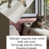 Bir bacağı ampüte dünyanın en sevecen kısır erkek kedisi