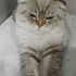 Camdan düşen güzellik fotoğraf