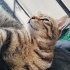 İnsan delisi, tırnak çıkarmaz, minnoş, oyuncu fotoğraf