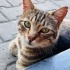 İnsan delisi, tırnak çıkarmaz, minnoş, oyuncu fotoğraf