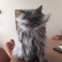 SEVECEN SAKİN UYUMLU RESMEN ANNE DİYOR fotoğraf