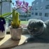 güzel kızımız tospik fotoğraf