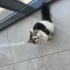 Sakin sevecen bir kız fotoğraf