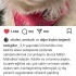 AŞILARI TAM,KISIR VE ÇİPLİ CHİNCHİLLA fotoğraf