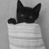 8 haftalık oyuncu bebe fotoğraf