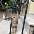 KUCAK BAĞIMLISI, OYUNCU, KOCAMAN GÖZLÜ fotoğraf
