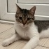 Ailem olur musun fotoğraf