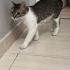 Ailem olur musun fotoğraf