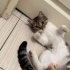 Ailem olur musun fotoğraf